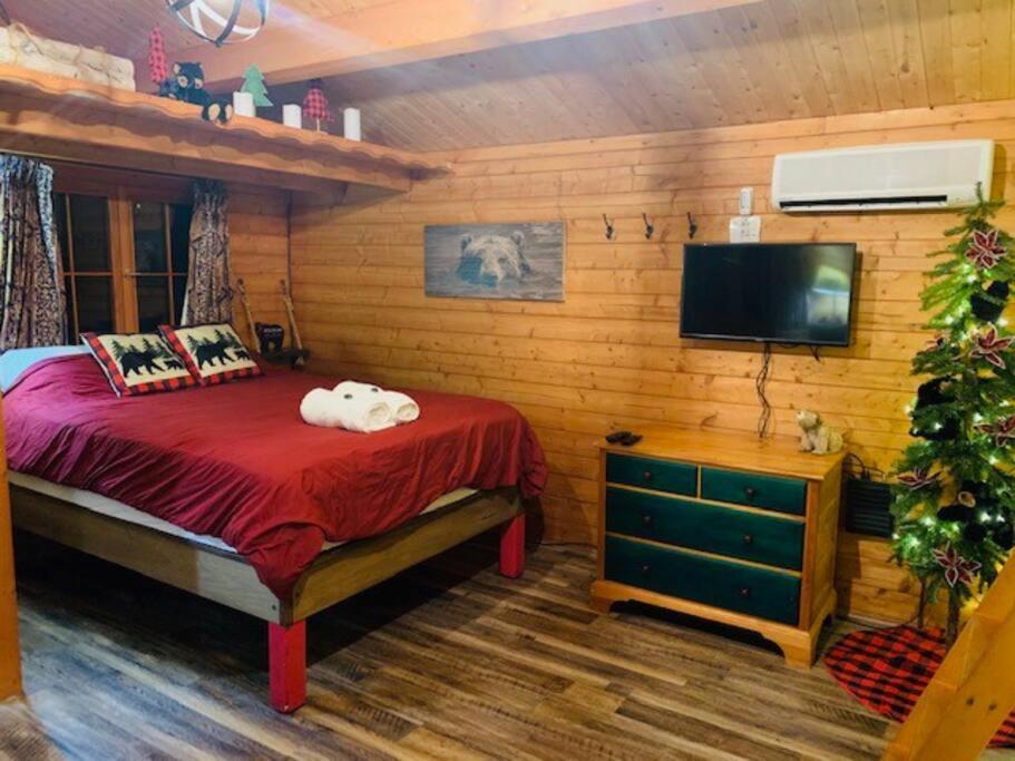 Honeybear Hideaway Cabin HaywardHayward  Kültér fotó