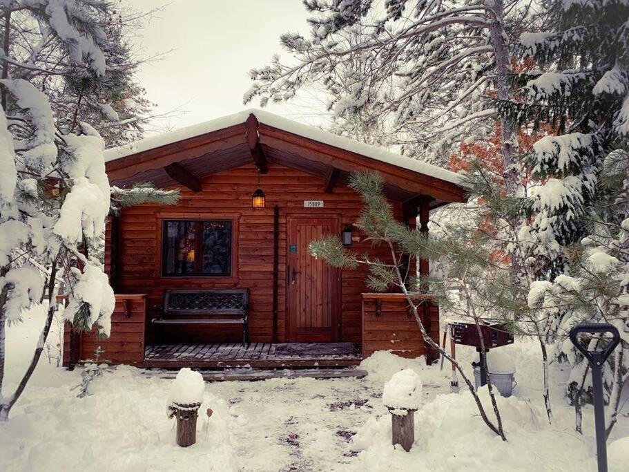Honeybear Hideaway Cabin HaywardHayward  Kültér fotó