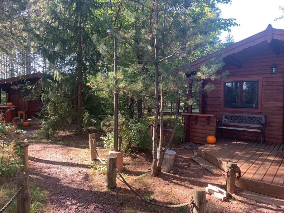 Honeybear Hideaway Cabin HaywardHayward  Kültér fotó