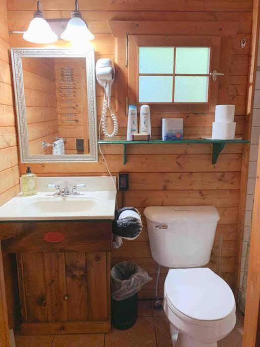 Honeybear Hideaway Cabin HaywardHayward  Kültér fotó