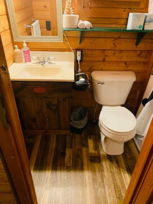 Honeybear Hideaway Cabin HaywardHayward  Kültér fotó