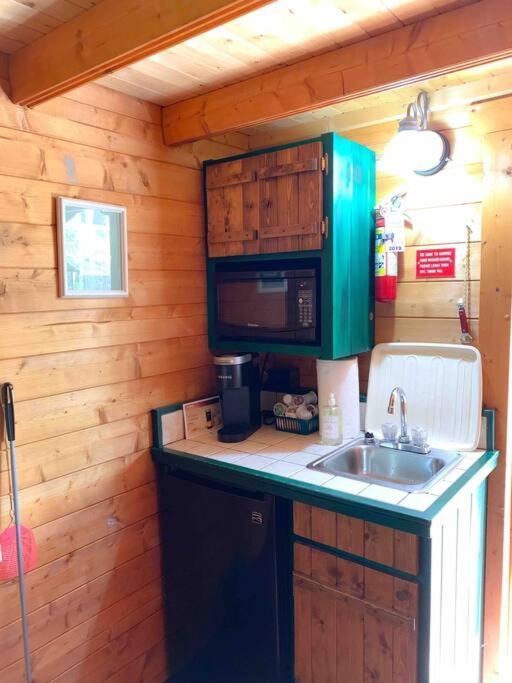 Honeybear Hideaway Cabin HaywardHayward  Kültér fotó