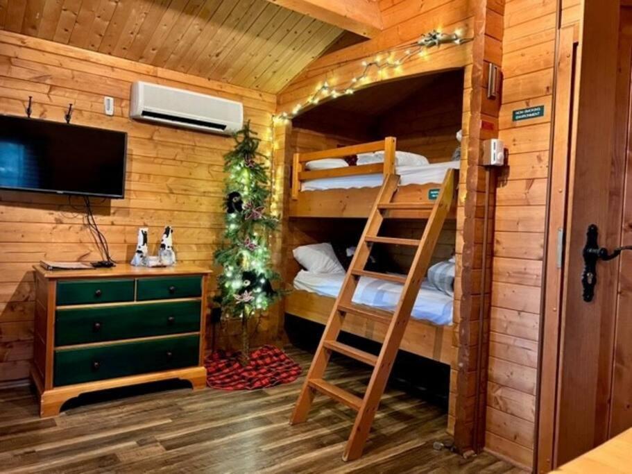 Honeybear Hideaway Cabin HaywardHayward  Kültér fotó